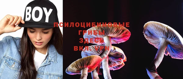 кокс Алзамай