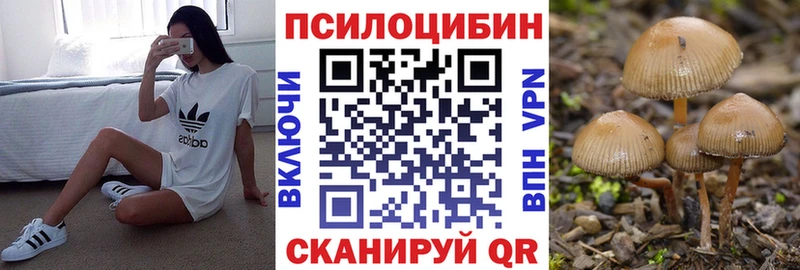Псилоцибиновые грибы Magic Shrooms  нарко площадка официальный сайт  Карпинск  купить   МЕГА ТОР 